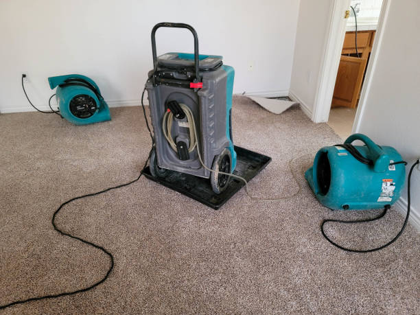 Best 24-hour water damage restoration  in Seagoville, TX