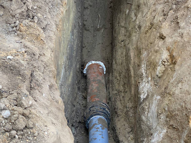 Best Flood damage cleanup  in Seagoville, TX
