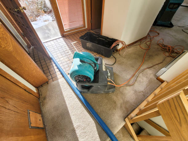 Best Carpet water damage restoration  in Seagoville, TX