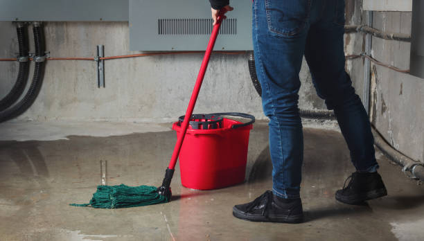 Best Water damage contractors near me  in Seagoville, TX