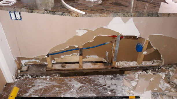Best Local water damage restoration  in Seagoville, TX