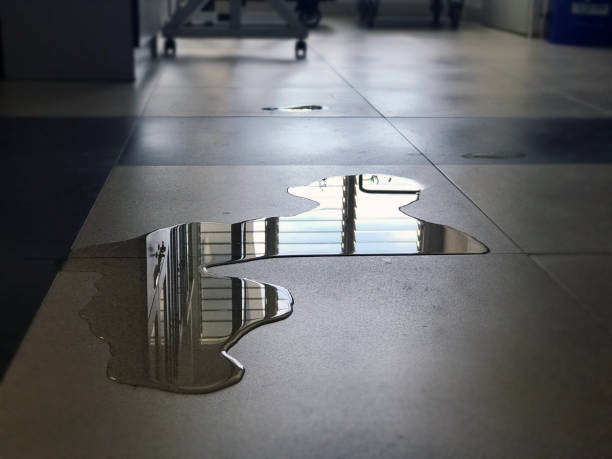 Best Water damage contractors near me  in Seagoville, TX