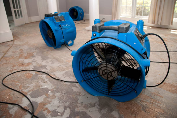 Best Ceiling water damage repair  in Seagoville, TX