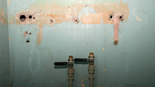 Best Ceiling water damage repair  in Seagoville, TX