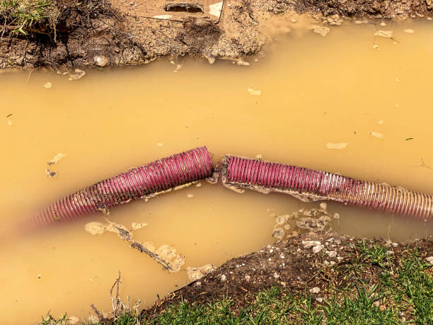Best Water damage restoration near me  in Seagoville, TX