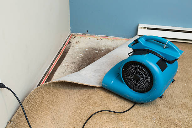 Best Commercial water damage restoration  in Seagoville, TX